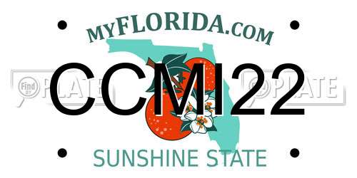 CCMI22 Florida License Plate