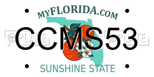 CCMS53 Florida License Plate