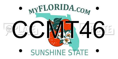 CCMT46 Florida License Plate