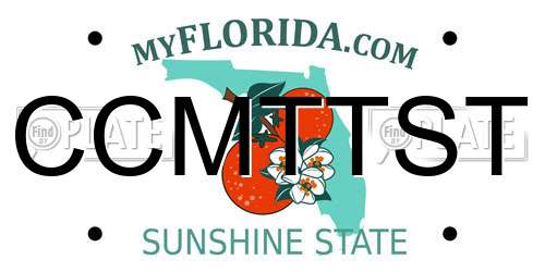 CCMTTST Florida License Plate