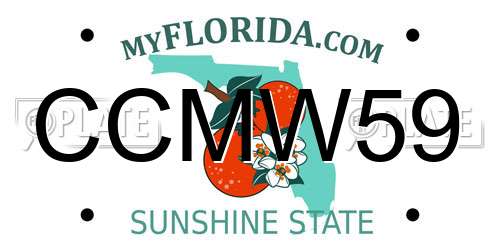 CCMW59 Florida License Plate