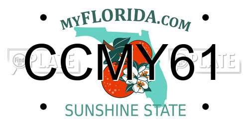 CCMY61 Florida License Plate