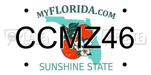 CCMZ46 Florida License Plate