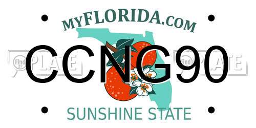 CCNG90 Florida License Plate