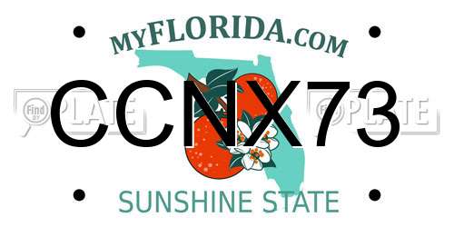 CCNX73 Florida License Plate
