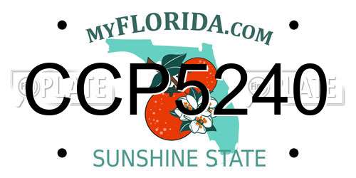 CCP5240 Florida License Plate