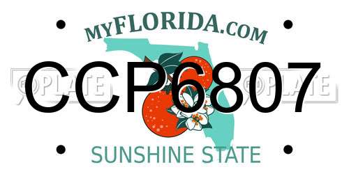 CCP6807 Florida License Plate