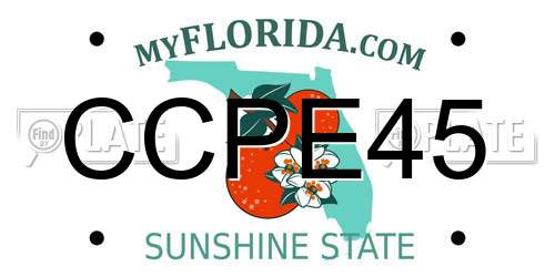 CCPE45 Florida License Plate