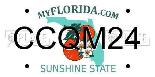 CCQM24 Florida License Plate