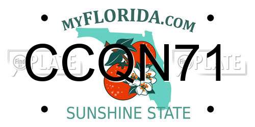 CCQN71 Florida License Plate