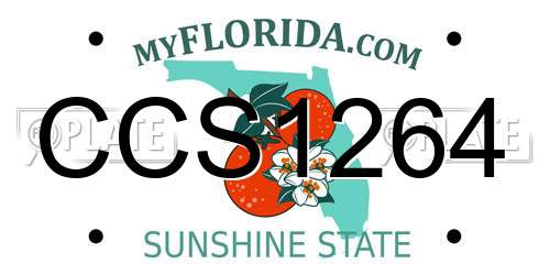 CCS1264 Florida License Plate
