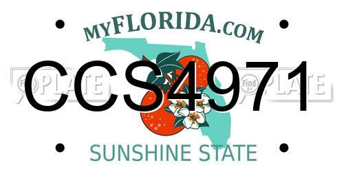 CCS4971 Florida License Plate