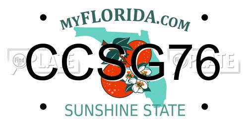 CCSG76 Florida License Plate