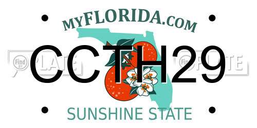 CCTH29 Florida License Plate