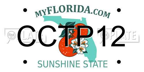 CCTP12 Florida License Plate