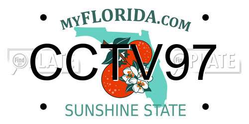CCTV97 Florida License Plate