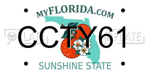 CCTY61 Florida License Plate