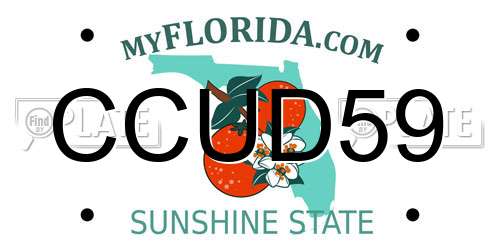 CCUD59 Florida License Plate