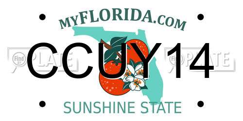 CCUY14 Florida License Plate