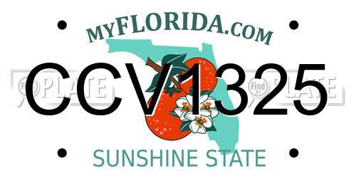 CCV1325 Florida License Plate
