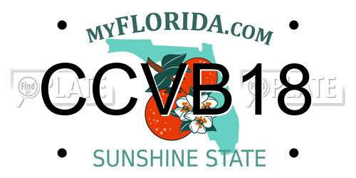 CCVB18 Florida License Plate