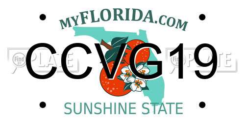 CCVG19 Florida License Plate