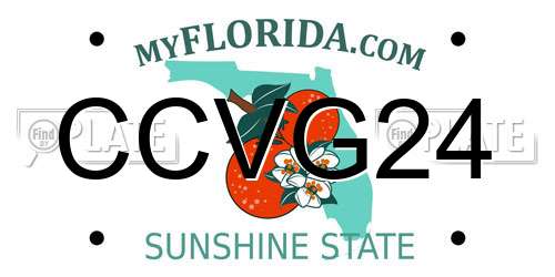 CCVG24 Florida License Plate