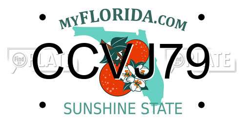 CCVJ79 Florida License Plate