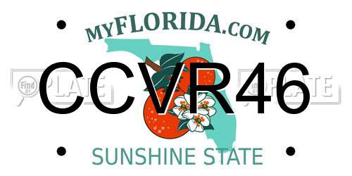 CCVR46 Florida License Plate