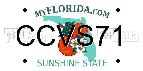 CCVS71 Florida License Plate
