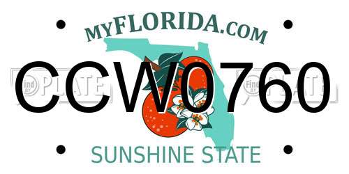 CCW0760 Florida License Plate