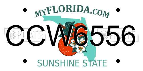 CCW6556 Florida License Plate