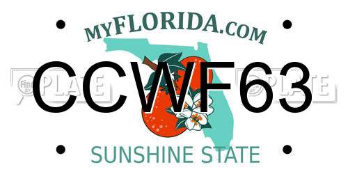 CCWF63 Florida License Plate