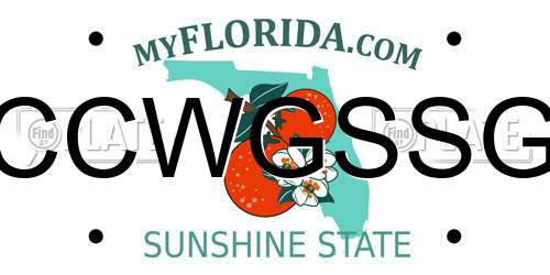 CCWGSSG Florida License Plate