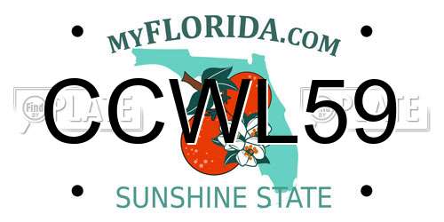 CCWL59 Florida License Plate