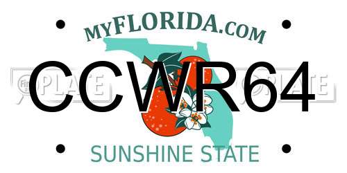 CCWR64 Florida License Plate