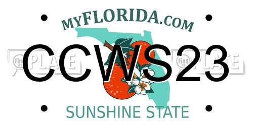 CCWS23 Florida License Plate