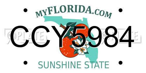 CCY5984 Florida License Plate