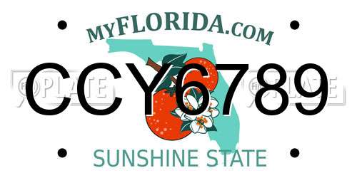 CCY6789 Florida License Plate