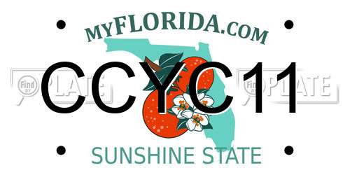 CCYC11 Florida License Plate