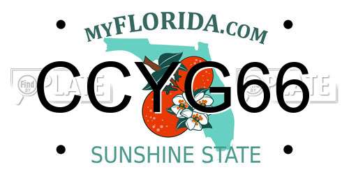 CCYG66 Florida License Plate
