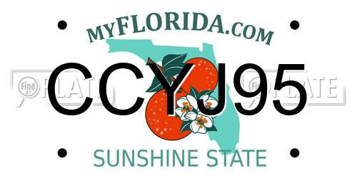 CCYJ95 Florida License Plate