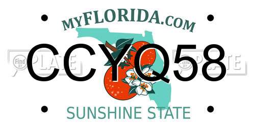CCYQ58 Florida License Plate