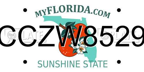 CCZW8529 Florida License Plate