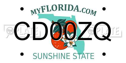 CD00ZQ Florida License Plate