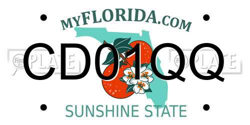CD01QQ Florida License Plate