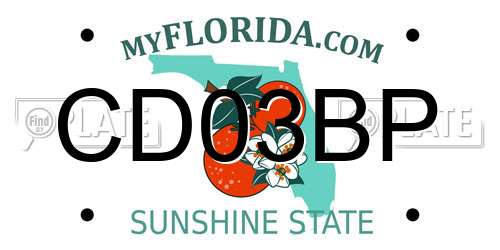 CD03BP Florida License Plate