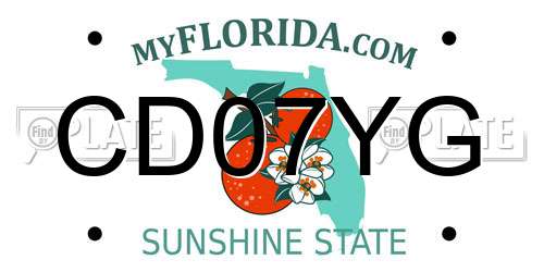 CD07YG Florida License Plate