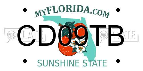 CD09TB Florida License Plate