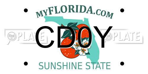 CD0Y Florida License Plate